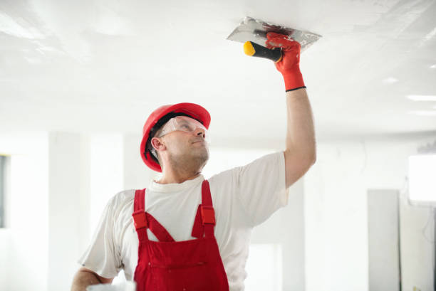 Mold Remediation for Rental Properties in Dickson City, PA